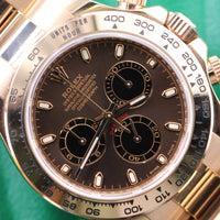 Rolex Daytona, Rose Gold, Chocolate Dial (Ref. 116505)