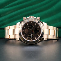 Rolex Daytona, Rose Gold, Chocolate Dial (Ref. 116505)