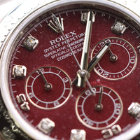 Rolex Daytona "Rubellite" Diamond Dial, White Gold (Ref. 116509)