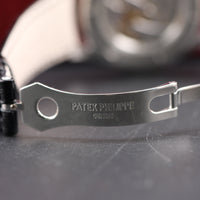 Patek Phillipe Travel Time, White Dial Platinum (Ref. 5134P)
