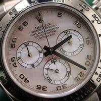 Rolex Daytona White Gold, Pink MOP Racing Dial (Ref. 116509)