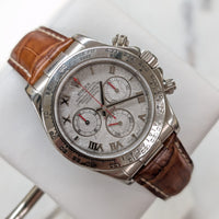Rolex Daytona Meteorite Dial Red Hands (Ref. 116519)