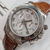 Rolex Daytona Meteorite Dial Red Hands (Ref. 116519)